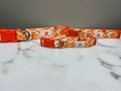 Picture of Mauna Kea Resorts PrideBites Dog Collar